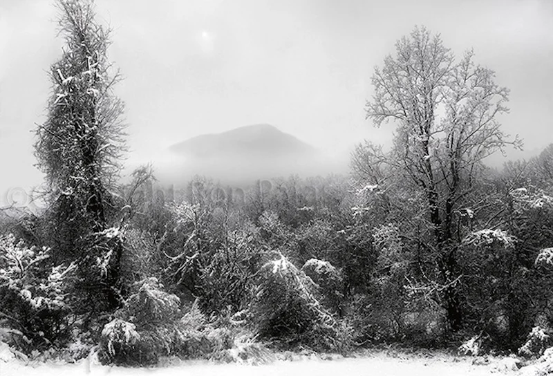 First Snow