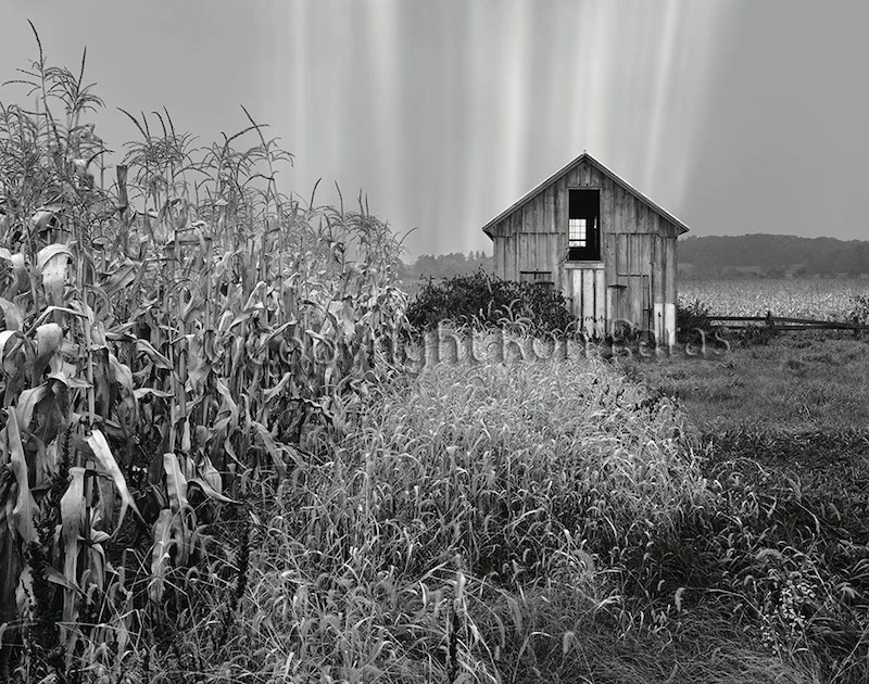 Barn