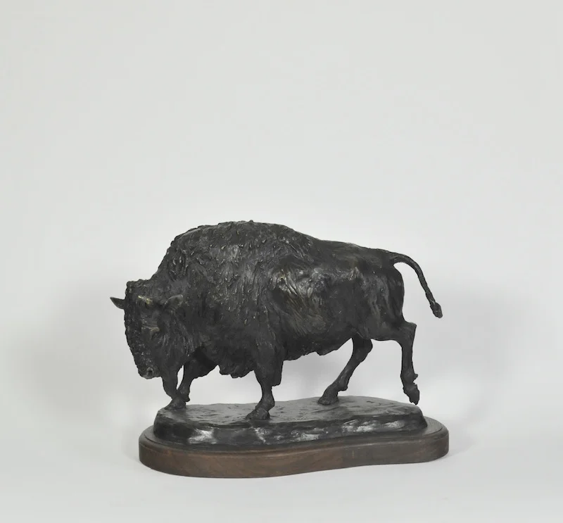 Buffalo, Bronze, 12"x 16"
