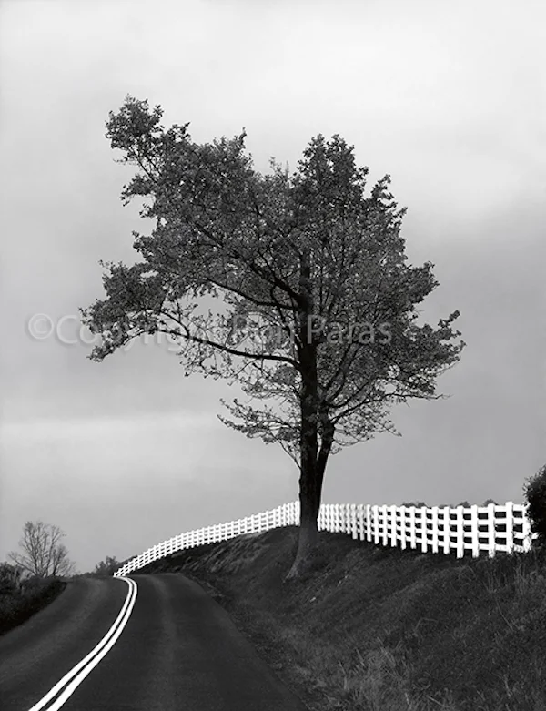 Convergence