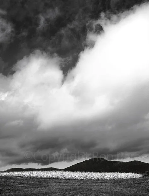 Mountain Meets Cloud