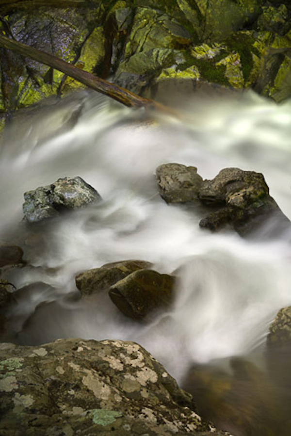 Stream Continuum 4, Photograph