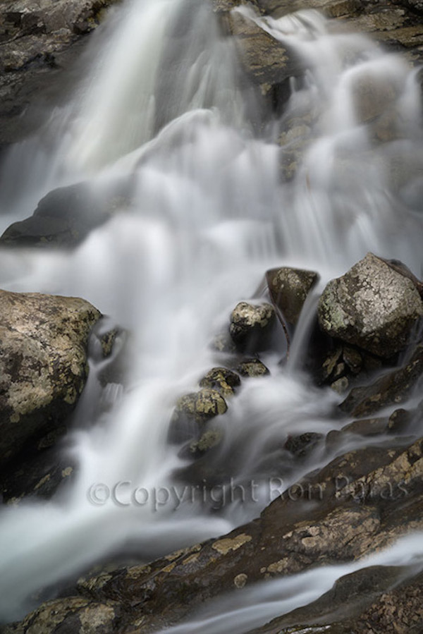 Stream Continuum 13 , Photograph