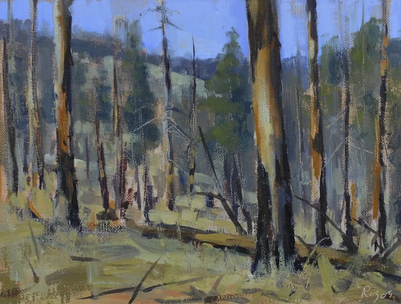 Burnt Over Forrest