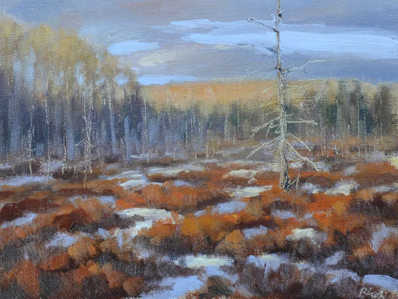 March Evening Bog