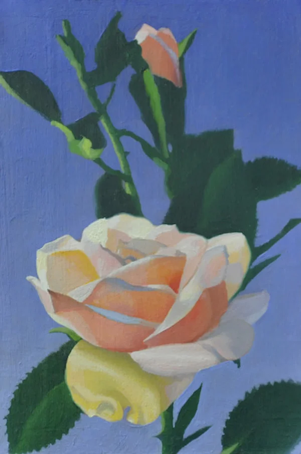 Pink Roses