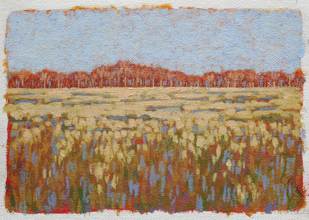 Study of Soybean Field