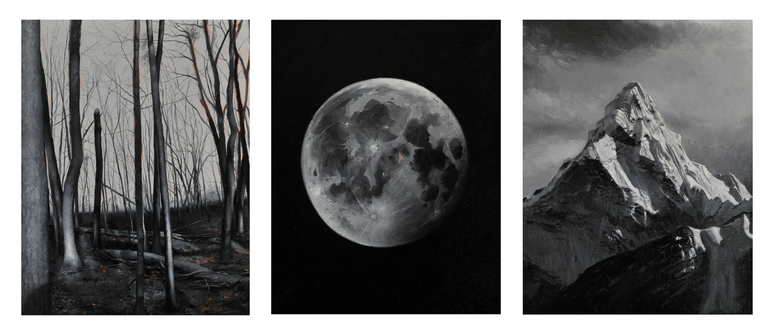Natural World Triptych