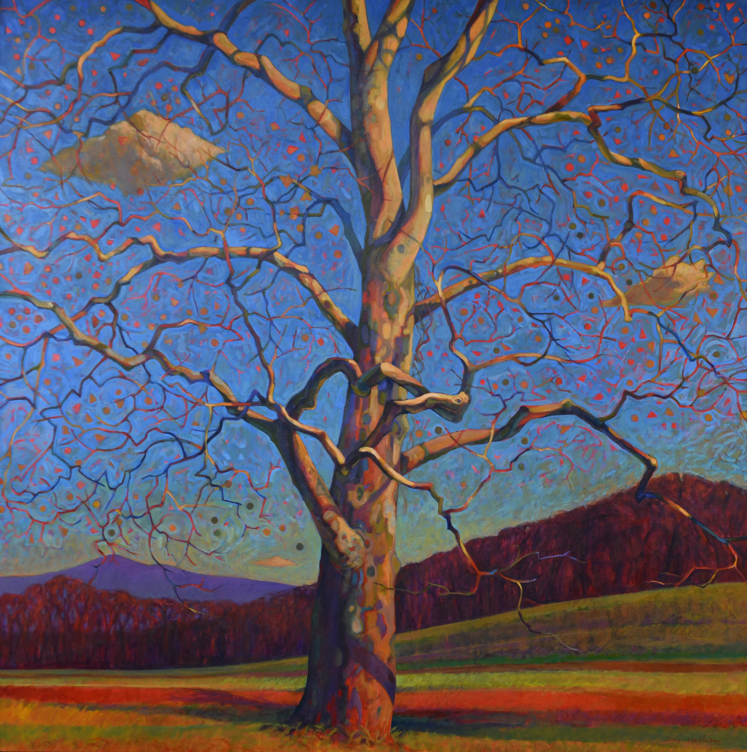 Fall Sycamore