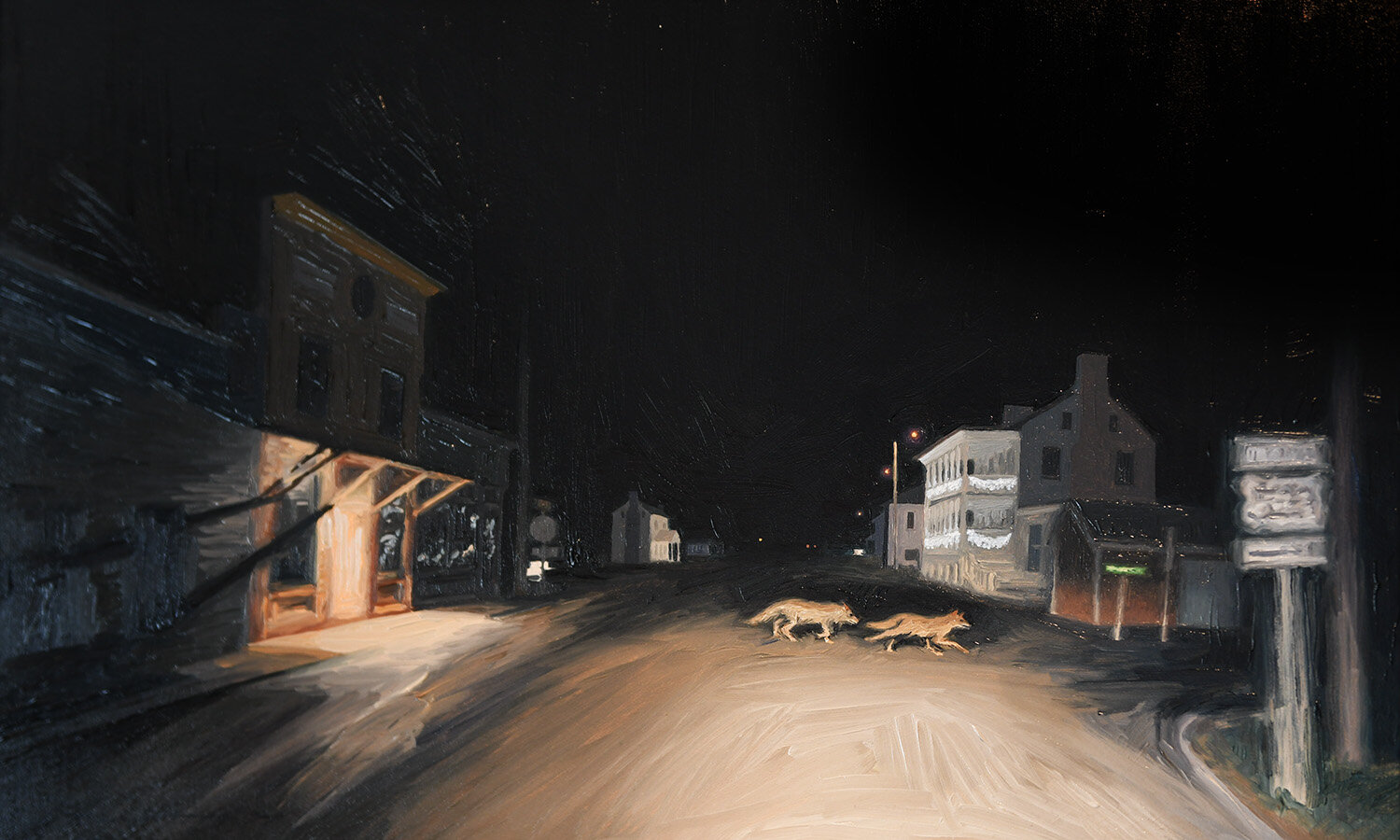 Coyote Nocturn