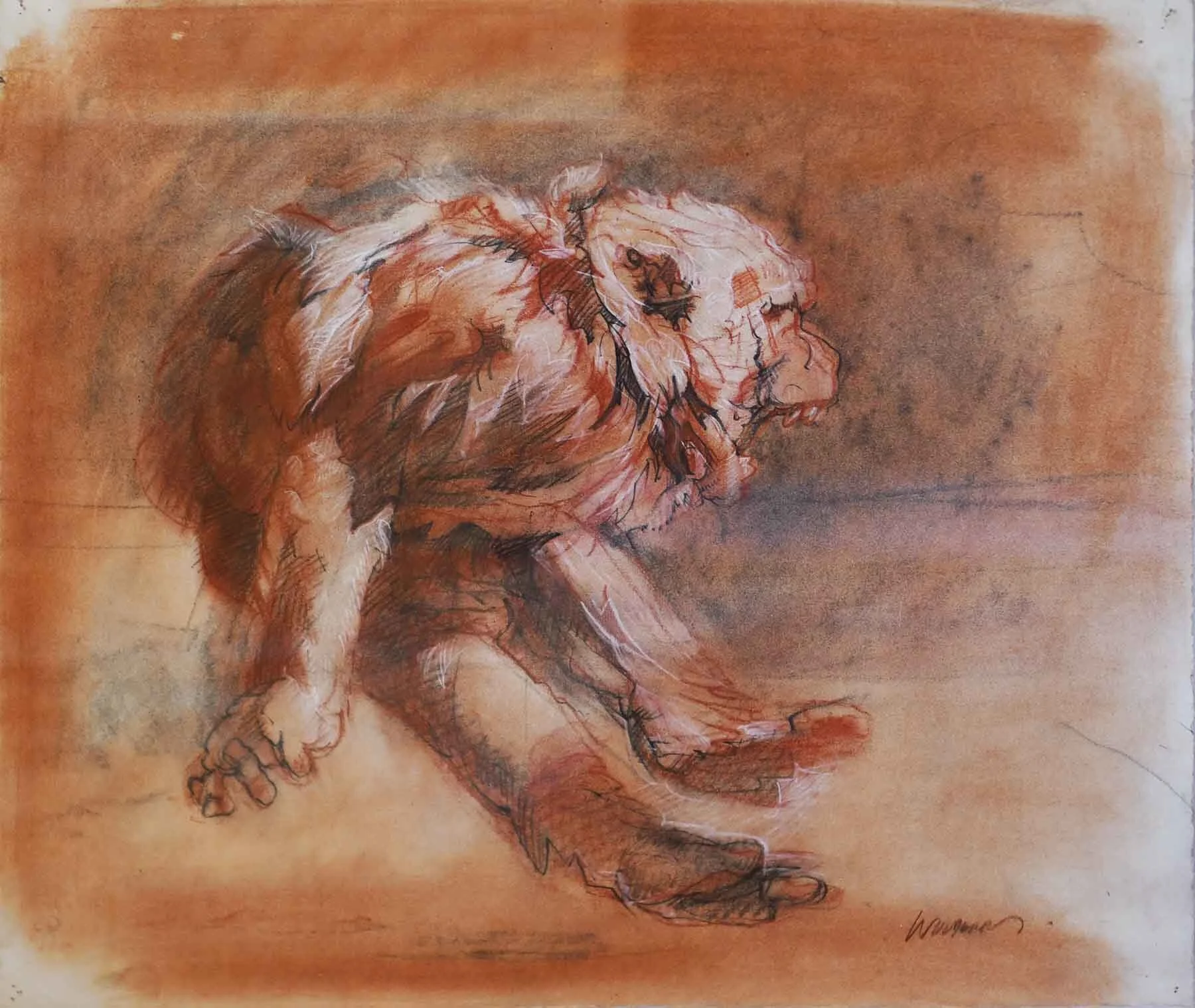 Angry Baboon