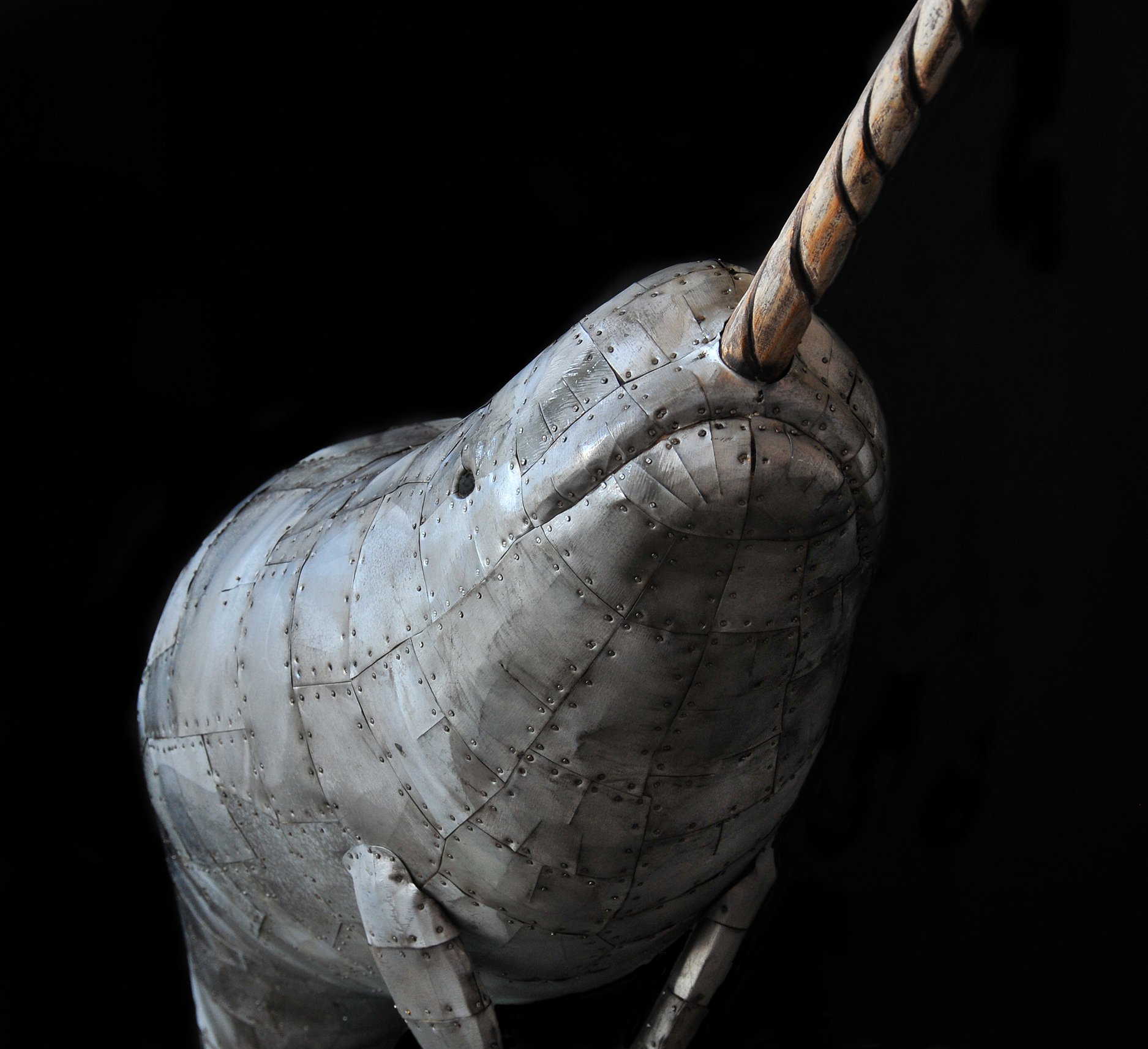 Narwhal, detail