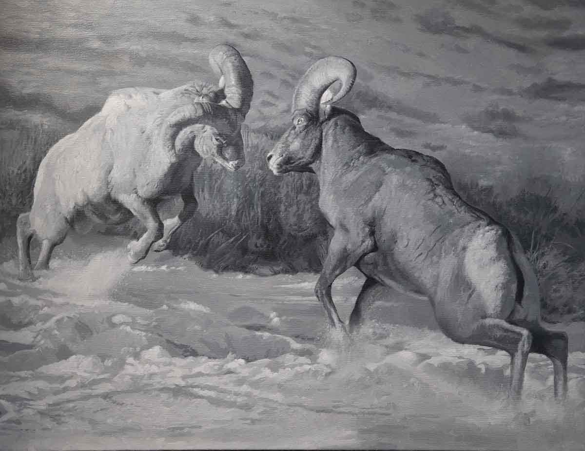 Duel