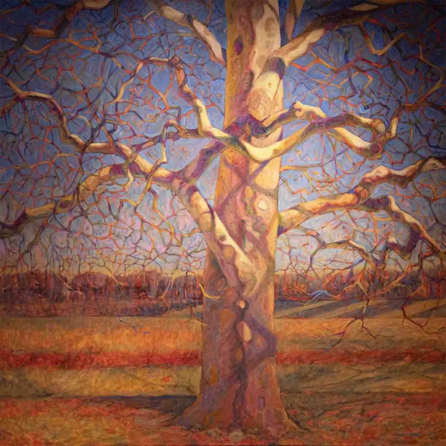 Sycamore