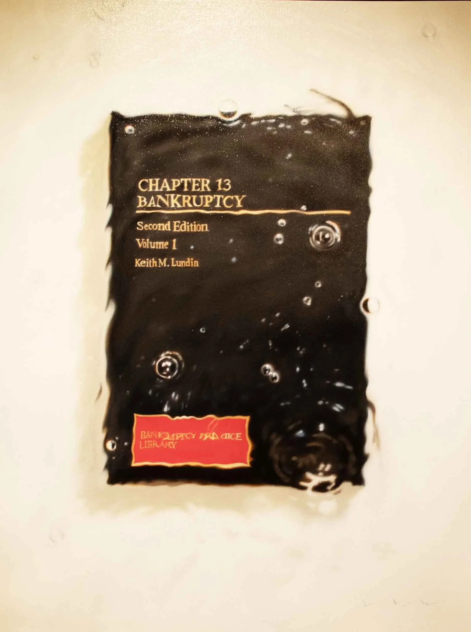 Chapter 13
