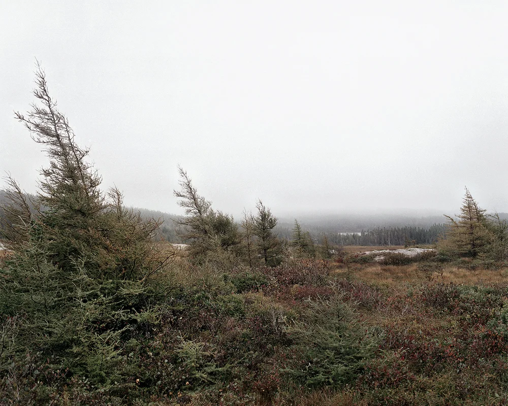 In Sublime , Adam contemplates the grandeur of the sky, ocean, and forest of his homeland in Newfoundland. As a city dweller, Adam’s experience of this expansive place is at once foreign and familiar, both about returning home and experiencing unexplored places. Sublime proved to be transformational in Adam’s work. This inaugural exploration of Newfoundland prompted further investigation of its history, leading to several bodies of work photographing resettled communities. The large scale and the focus on natural settings in these images recall 19th century Hudson River School landscape paintings. While those paintings romanticized the natural world and emphasized its formidable power over humankind, the photographs in Sublime approach nature on a less intimidating—though still majestic—scale. Newfoundland’s trademark fog is the protagonist of these photographs. Though often associated with melancholy, here the atmosphere is almost playful: clouds echo the shapes of rock formations, fog obscures the horizon line, and the only evidence of the elusive wind is the way the trees lean in its wake. The photographs are alive with texture: snow-laden branches, grassy hills, faceted cliffs, the rippled surface of the sea. Others are more nuanced, requiring a longer look, to see what lies beyond the fog. Adam inserts the human figure into some photographs in the series to investigate humankind’s relationship to the land. While figures in Hudson River School painting were minuscule compared to the imposing landscape, the figures in the Sublime photographs—seen from behind—fit into the landscape almost seamlessly. Even their clothing seems felicitous: the pattern of the woman’s sweater nearly aligns with the horizon; the man, with his camouflage hat, shares the palette of his surroundings.