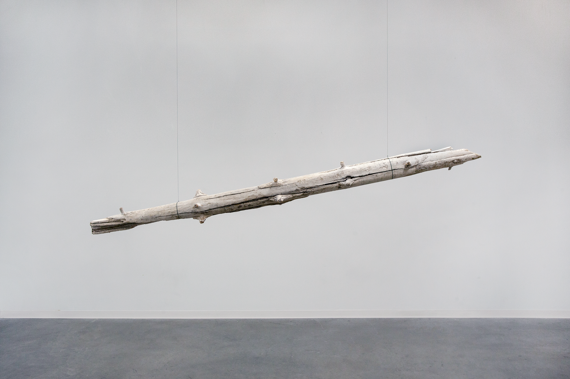 Driftwood
