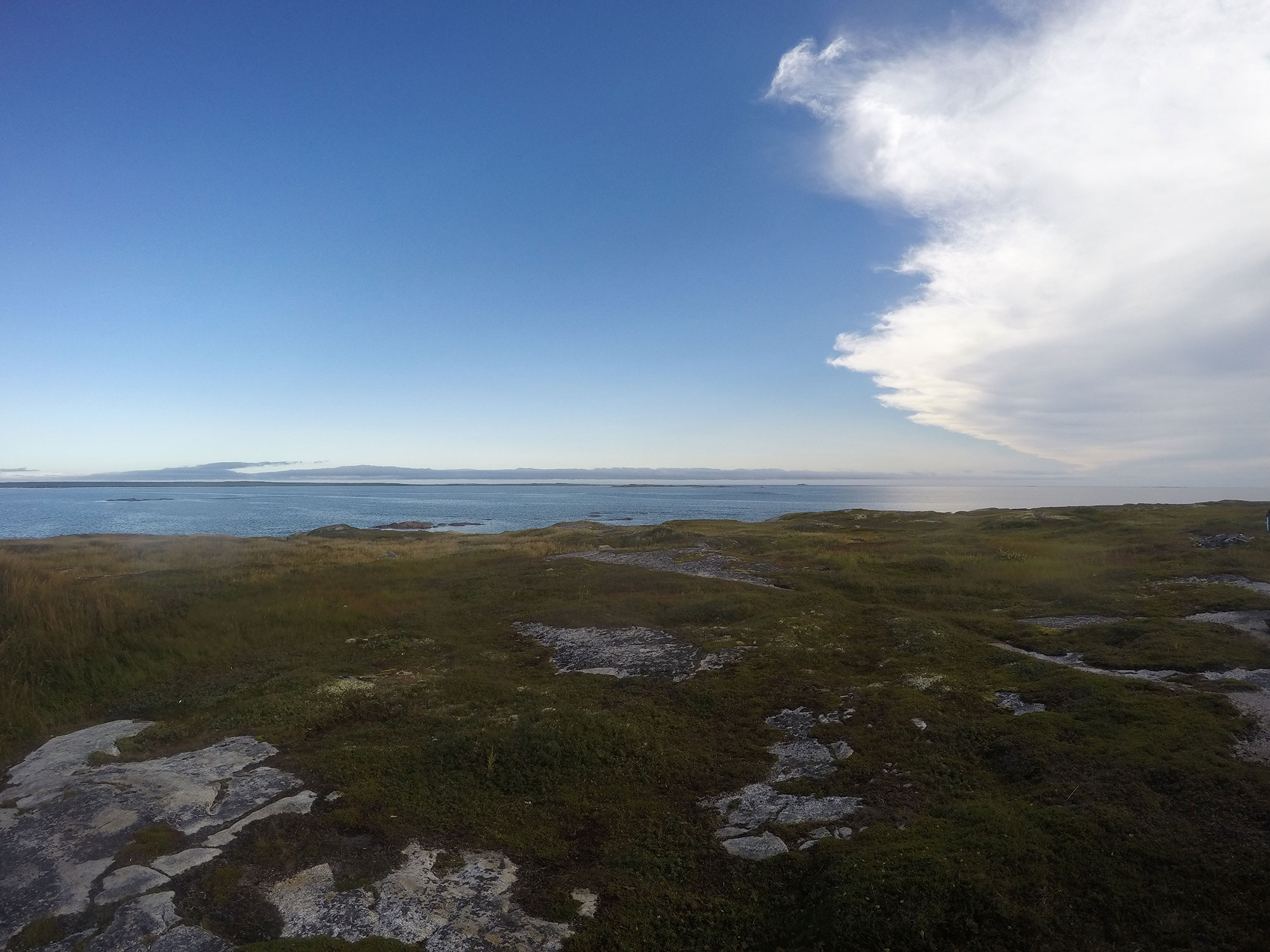 Pinchard's Island - September 9 at 3 PM