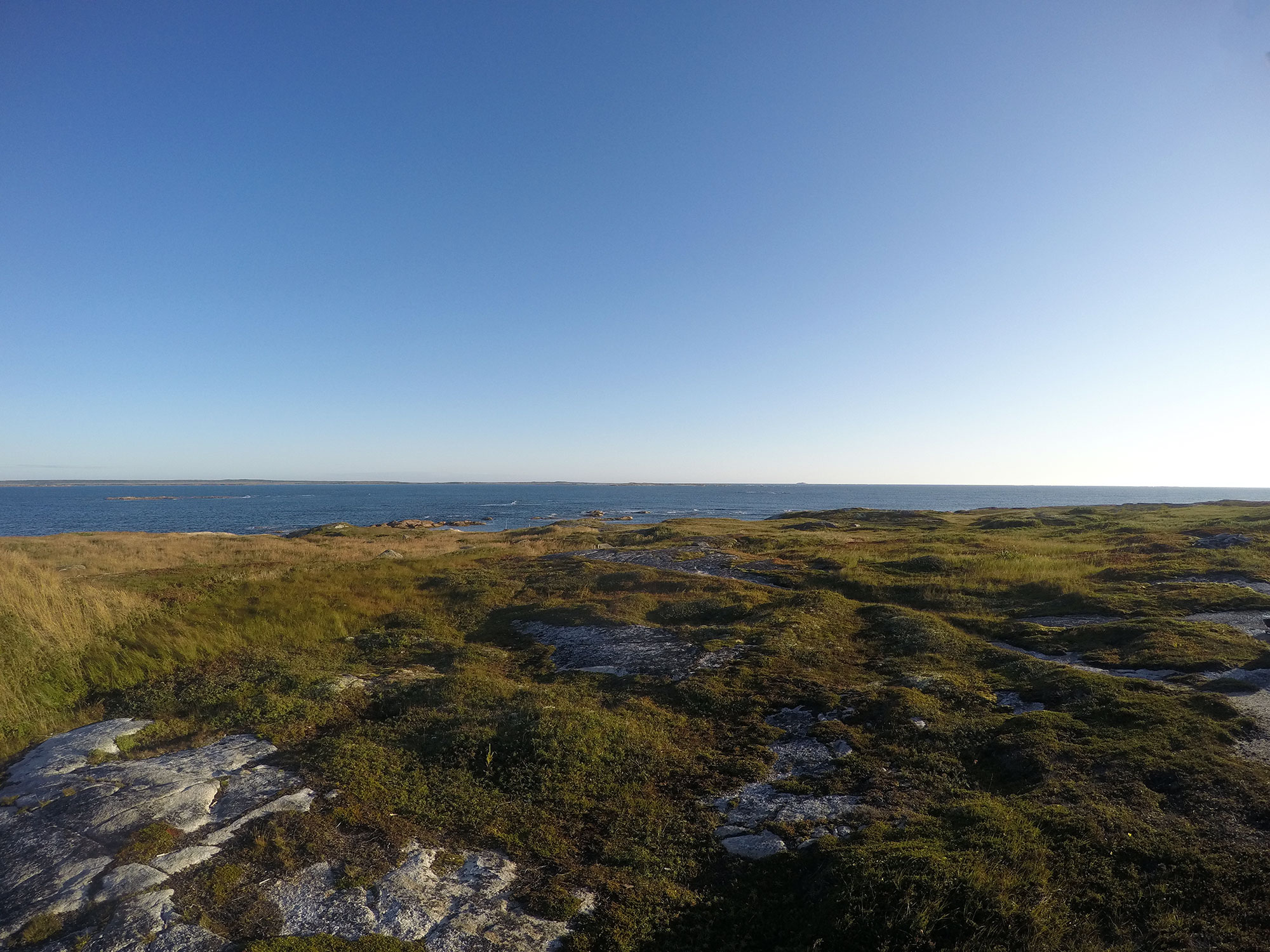 Pinchard's Island - September 15 at 9 AM,