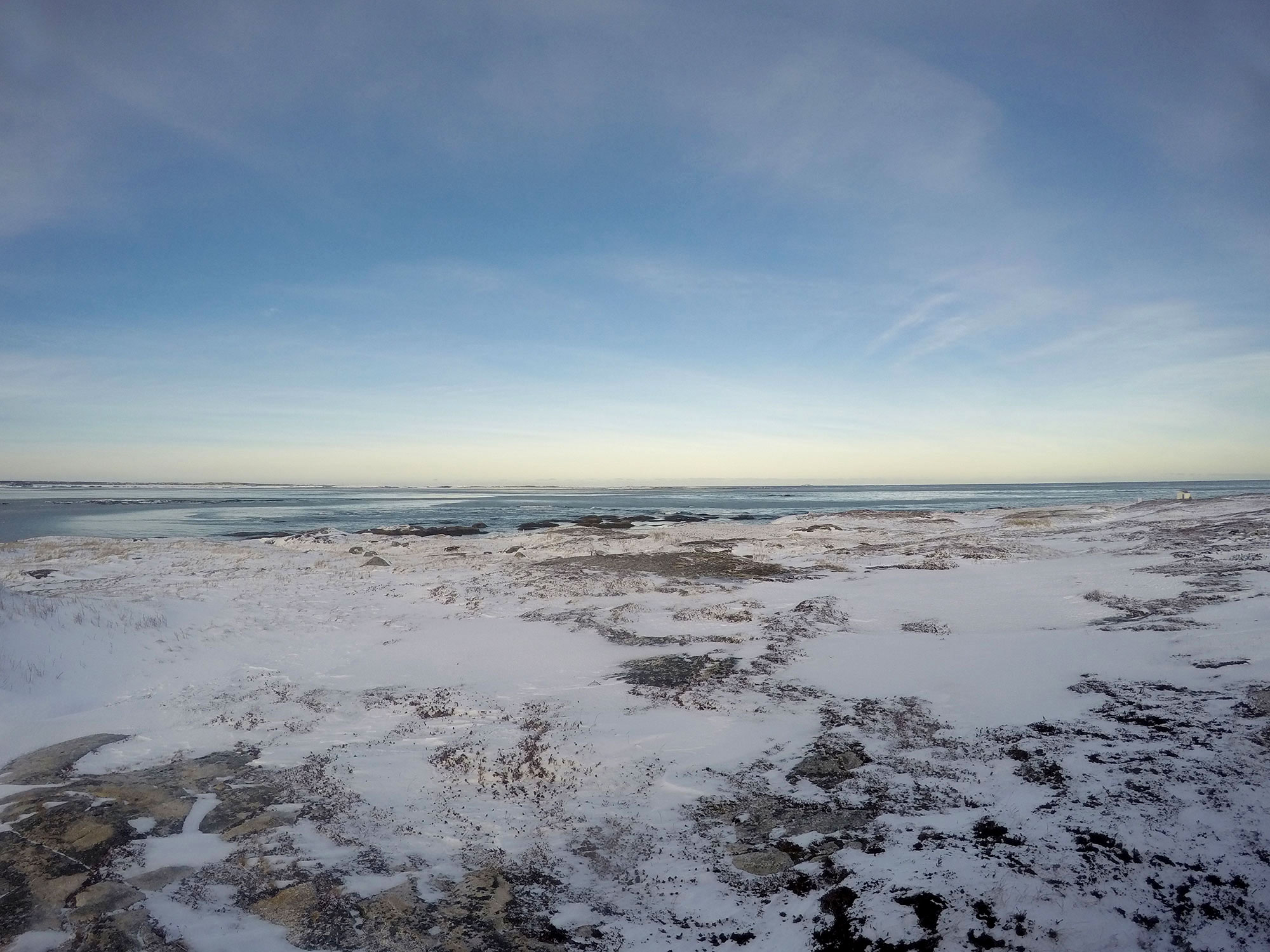 Pinchard's Island - December 22 at 11 AM