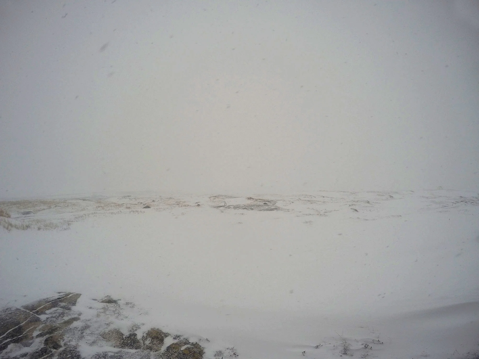 Pinchard's Island - February 27 at 4PM