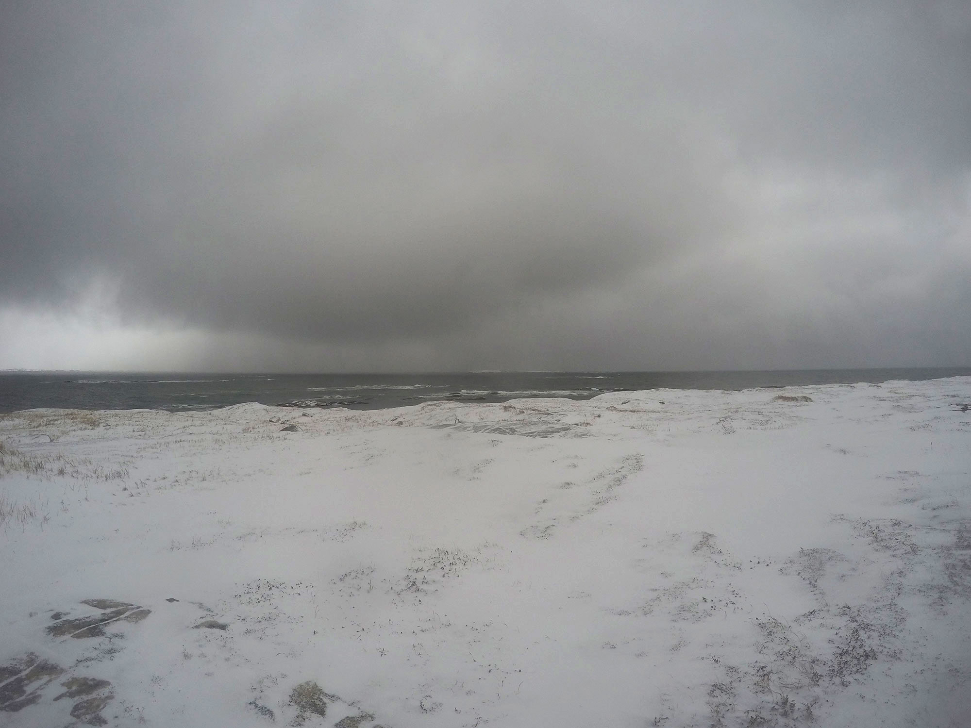 Pinchard's Island - December 20 at 11AM