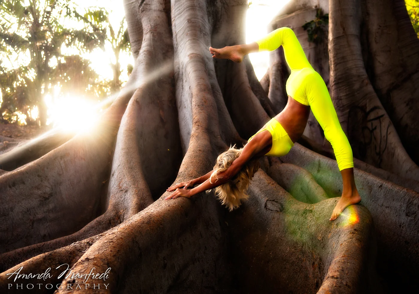 amanda manfredi yoga photographer