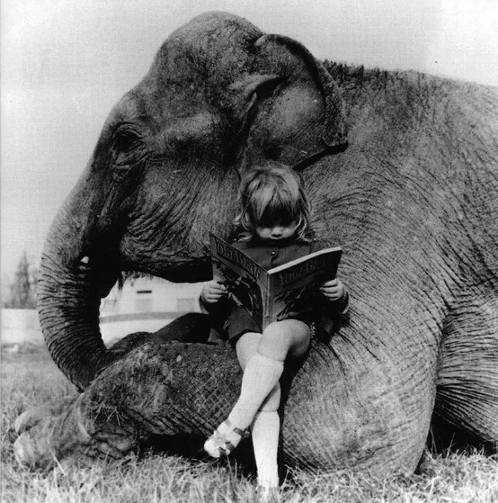 elephantandgirlread.jpeg