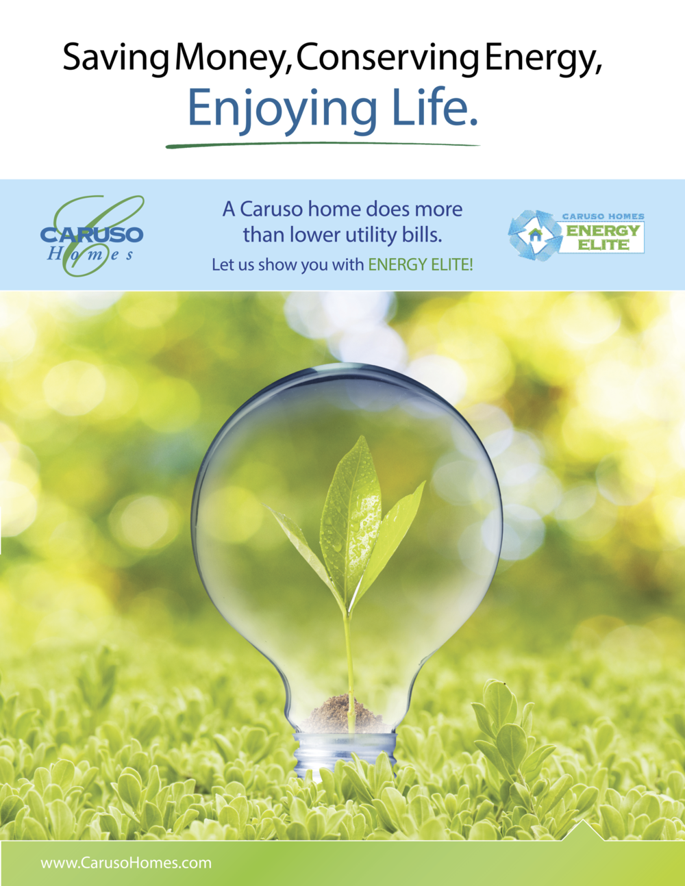 Caruso-EnergyElite+Brochure2.png