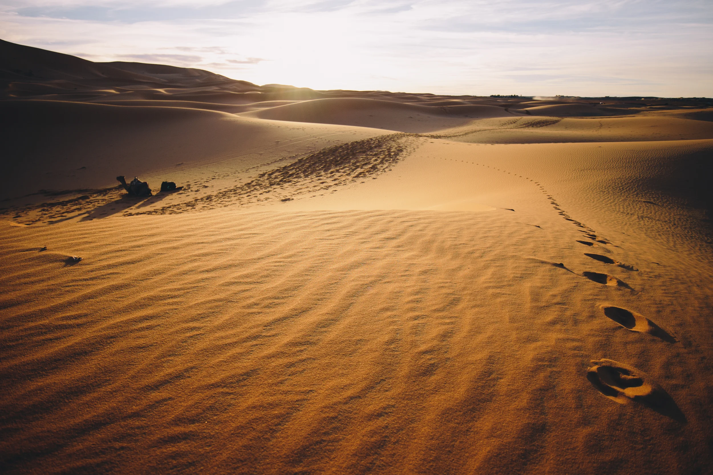 Saharan Footprints