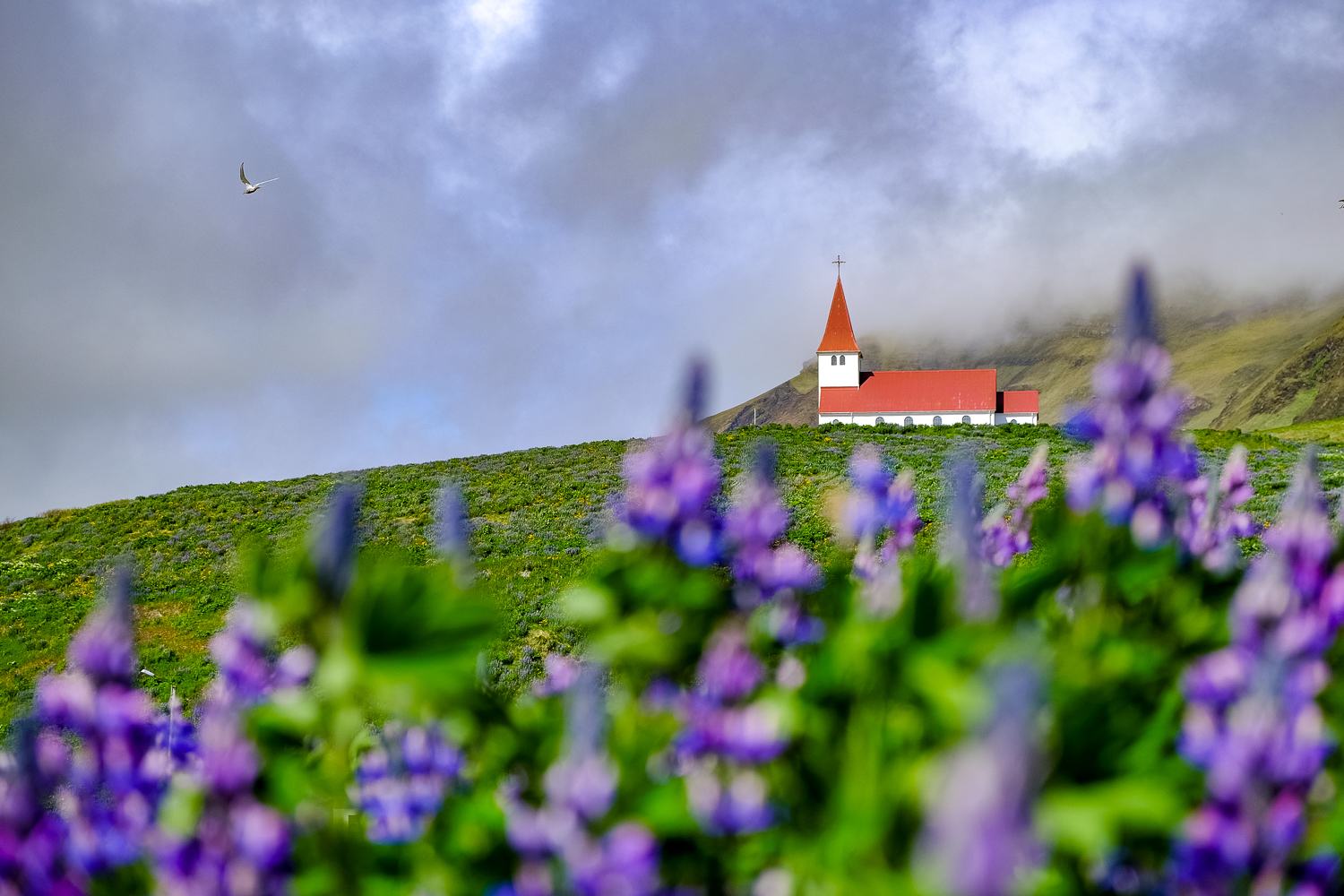 Iceland-PortfolioSquarespace-elliothaney (28 of 81).jpg