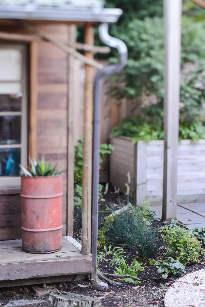 Rain Garden