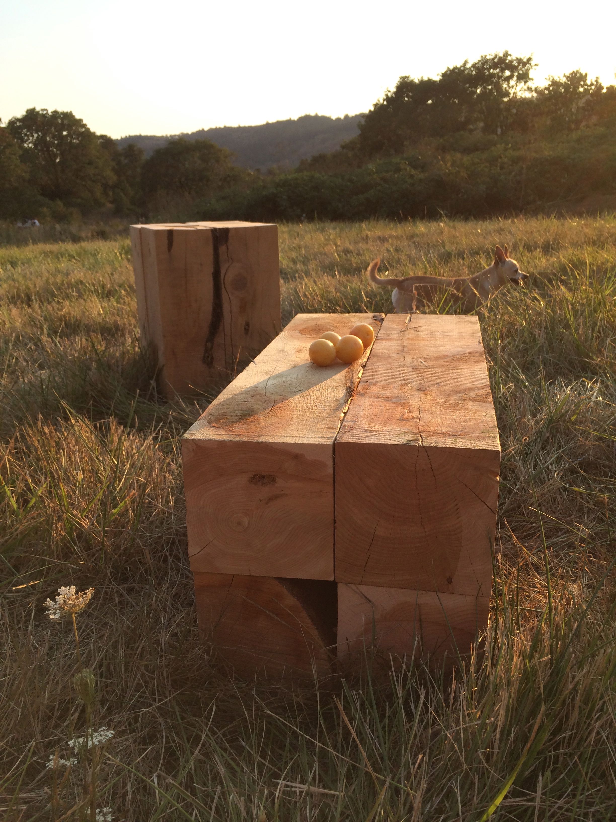 Juniper cubes