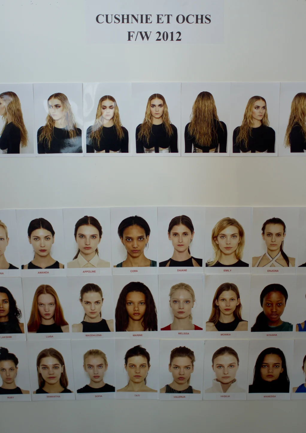 Cushnie et Ochs F/W 2012