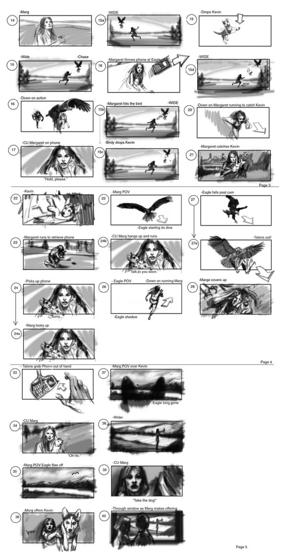 The Proposal combined eagle boards.jpeg