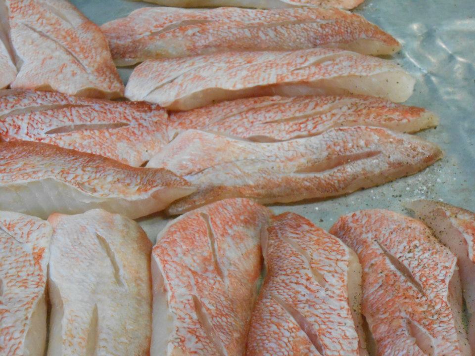 Raw Acadian redfish fillets, ready for the skillet.