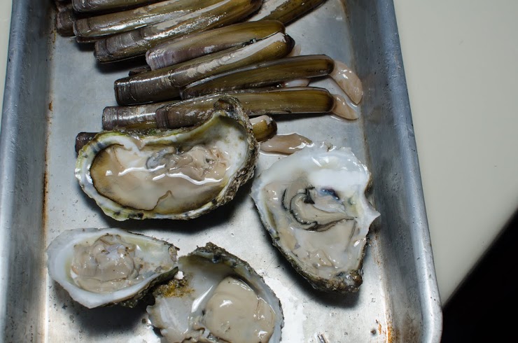 razors and oysters.jpg