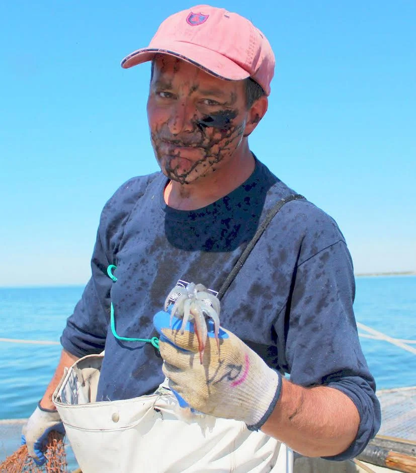 How to feed the community, support local fishermen, lower our carbon footprint, and connect with our local ecosystems -- all in one meal