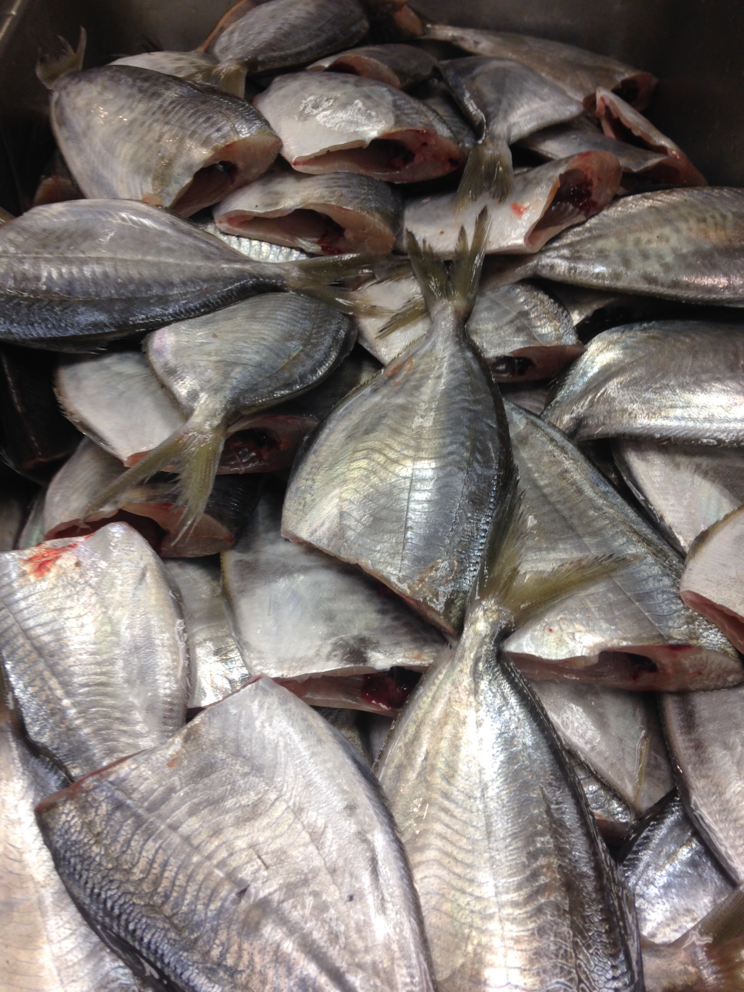 Butterfish ready to cook