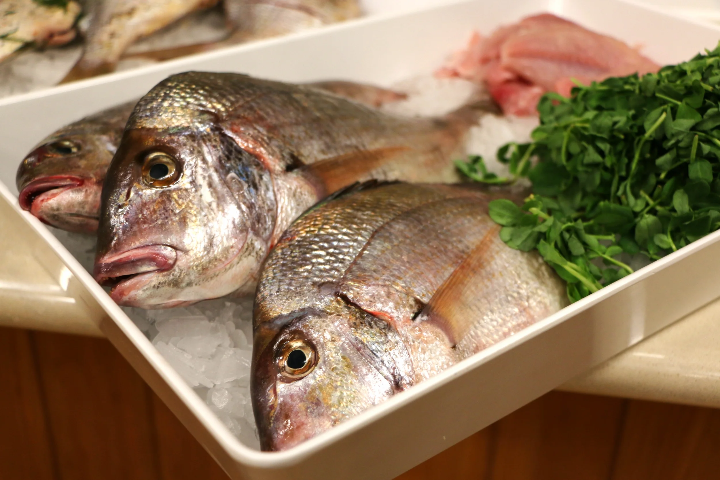 Whole Scup to be pan-seared and finished in the oven