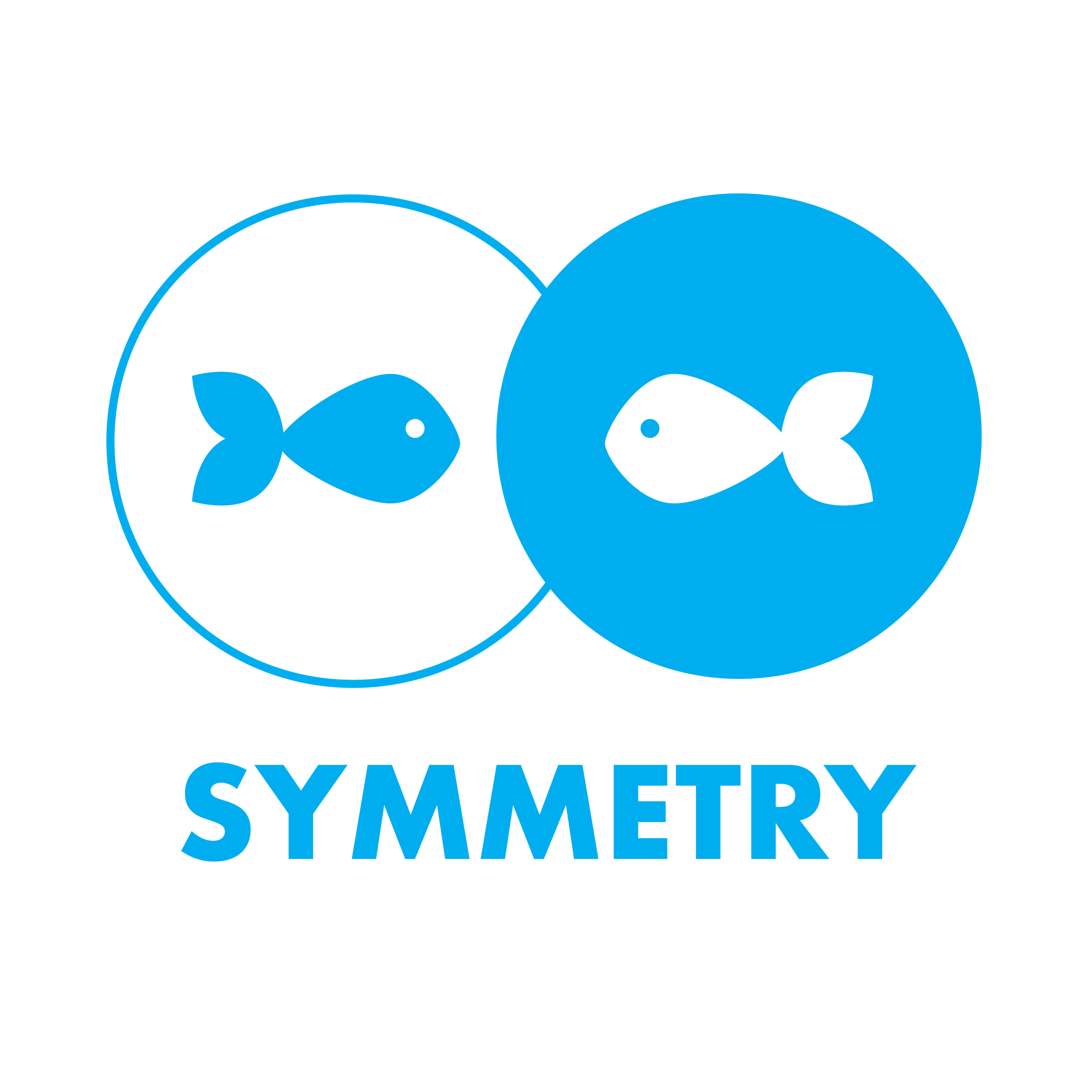 Symmetry.png