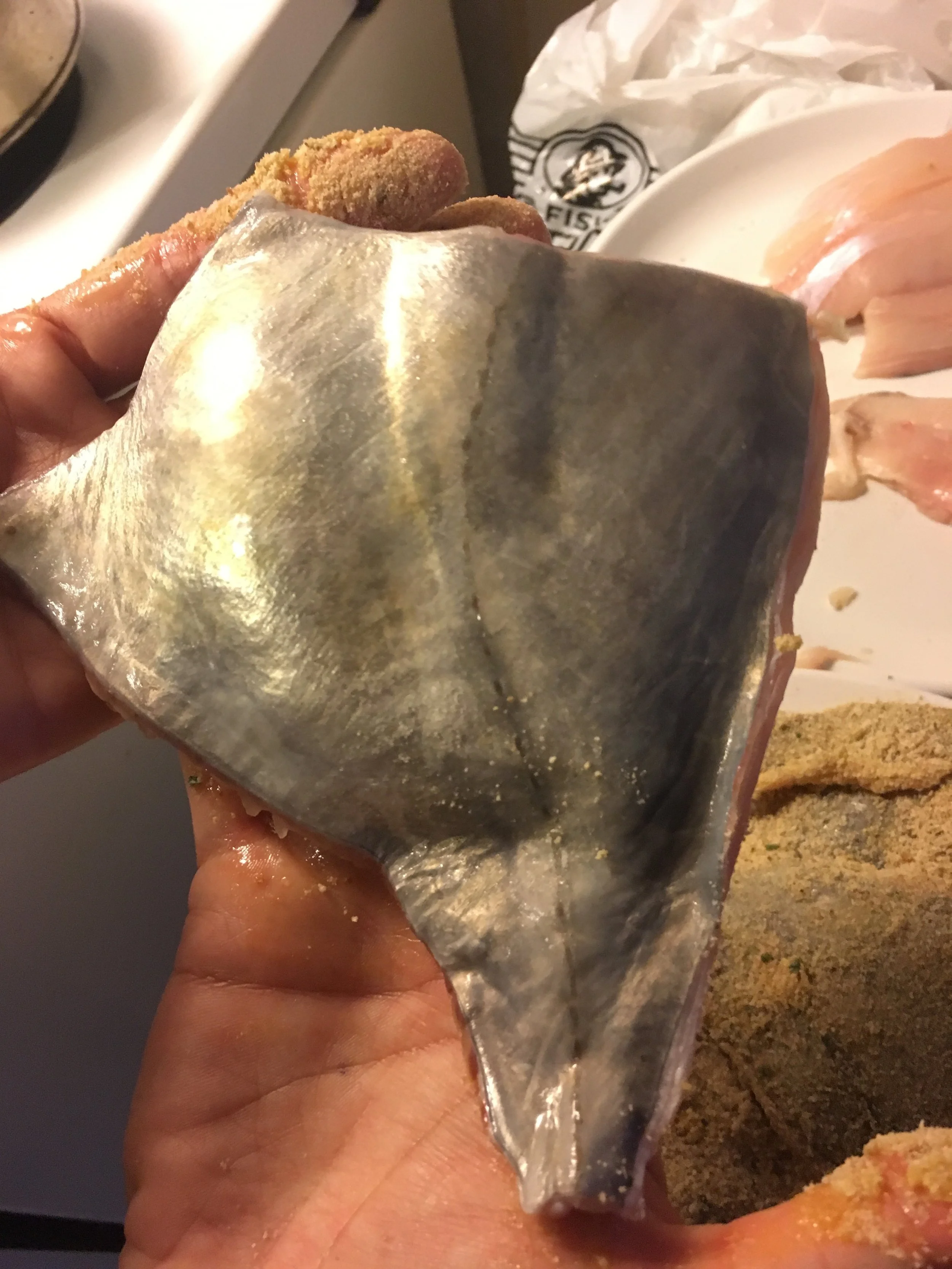 Shiny on the Outside and Tasty on the Inside: John Dory