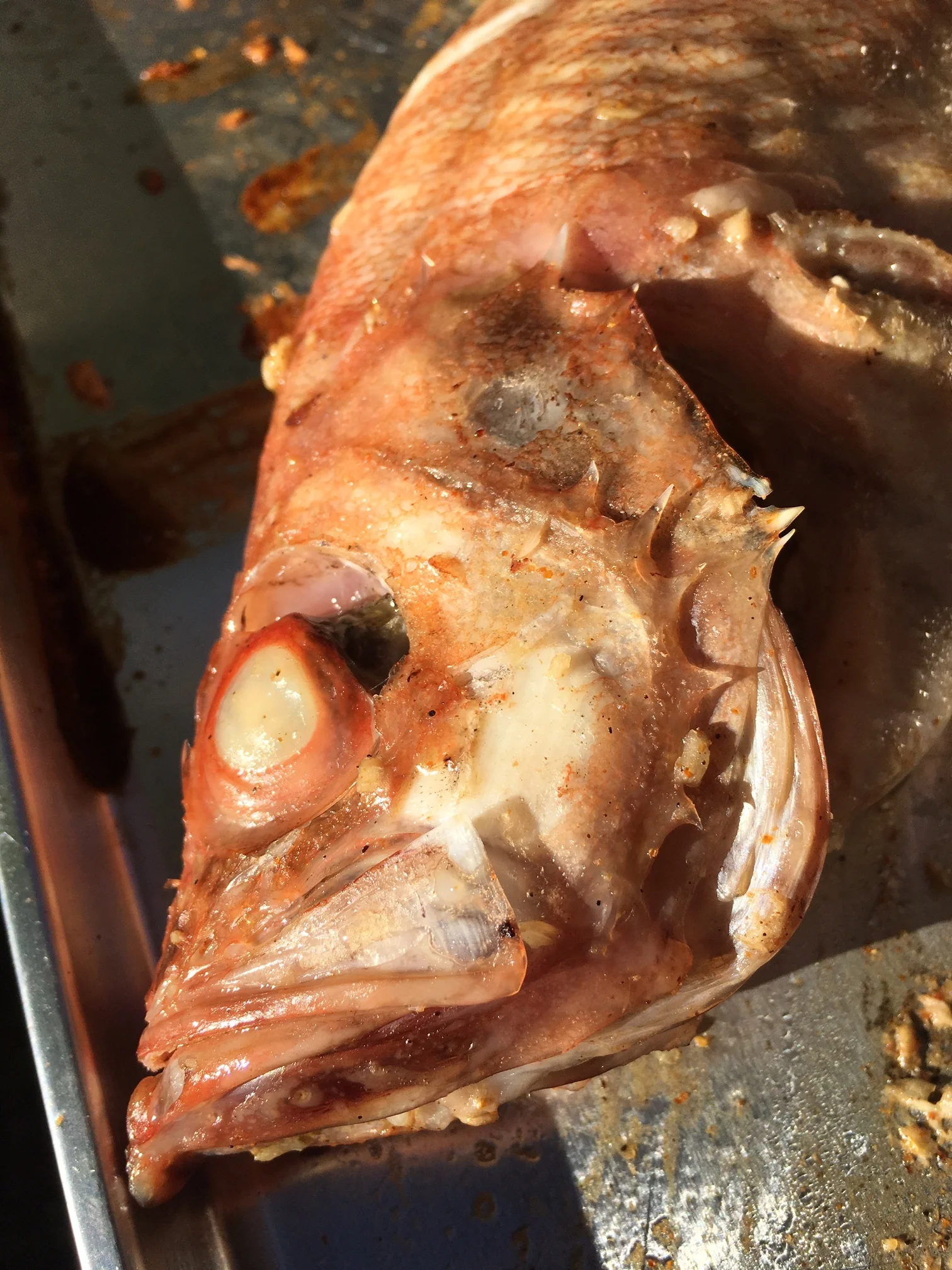 Grilled, Savory Acadian Red Fish; scary looking, but the taste is nothing to be afraid of!