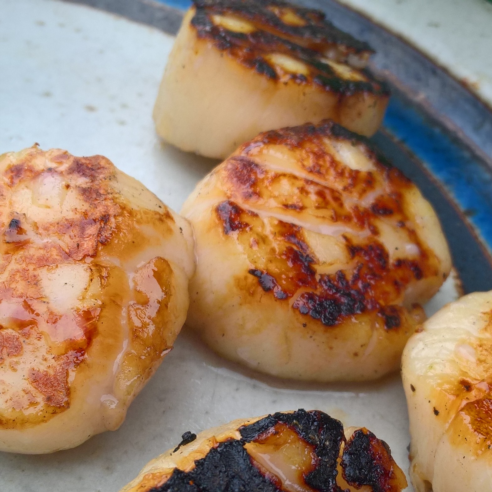 Grilled sea scallops with brown sugar and bourbon glaze.