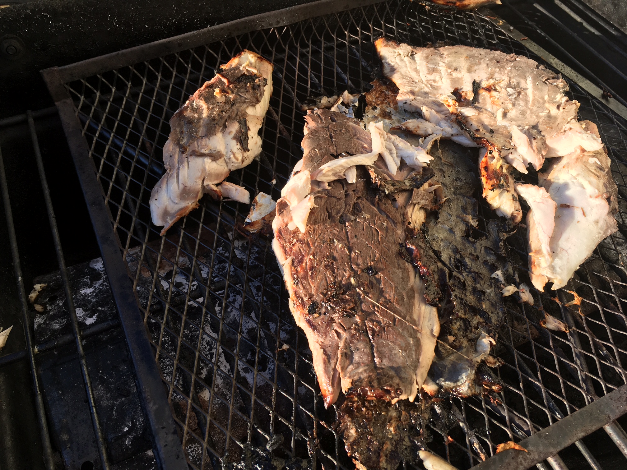  Burnt/Charred Bluefish