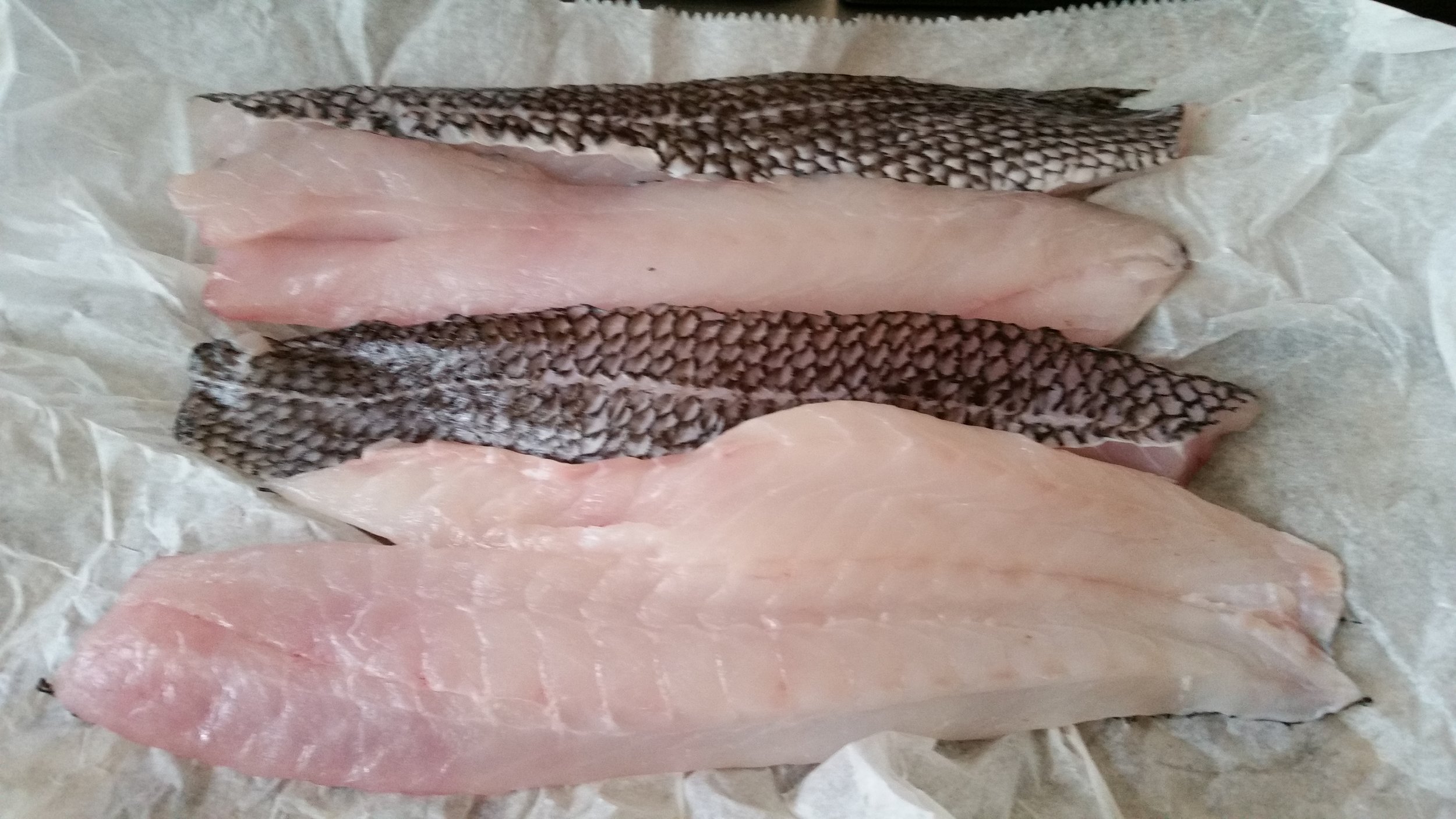 Fresh Black Sea Bass