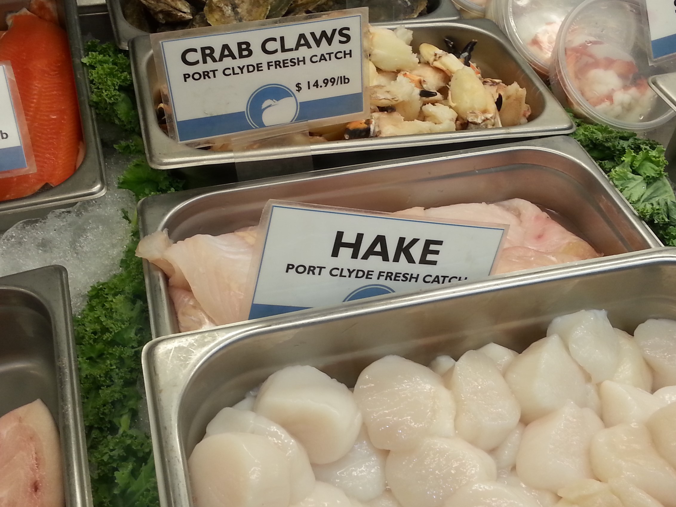 Belfast Coop Fish Case with Port Clyde Fresh Catch