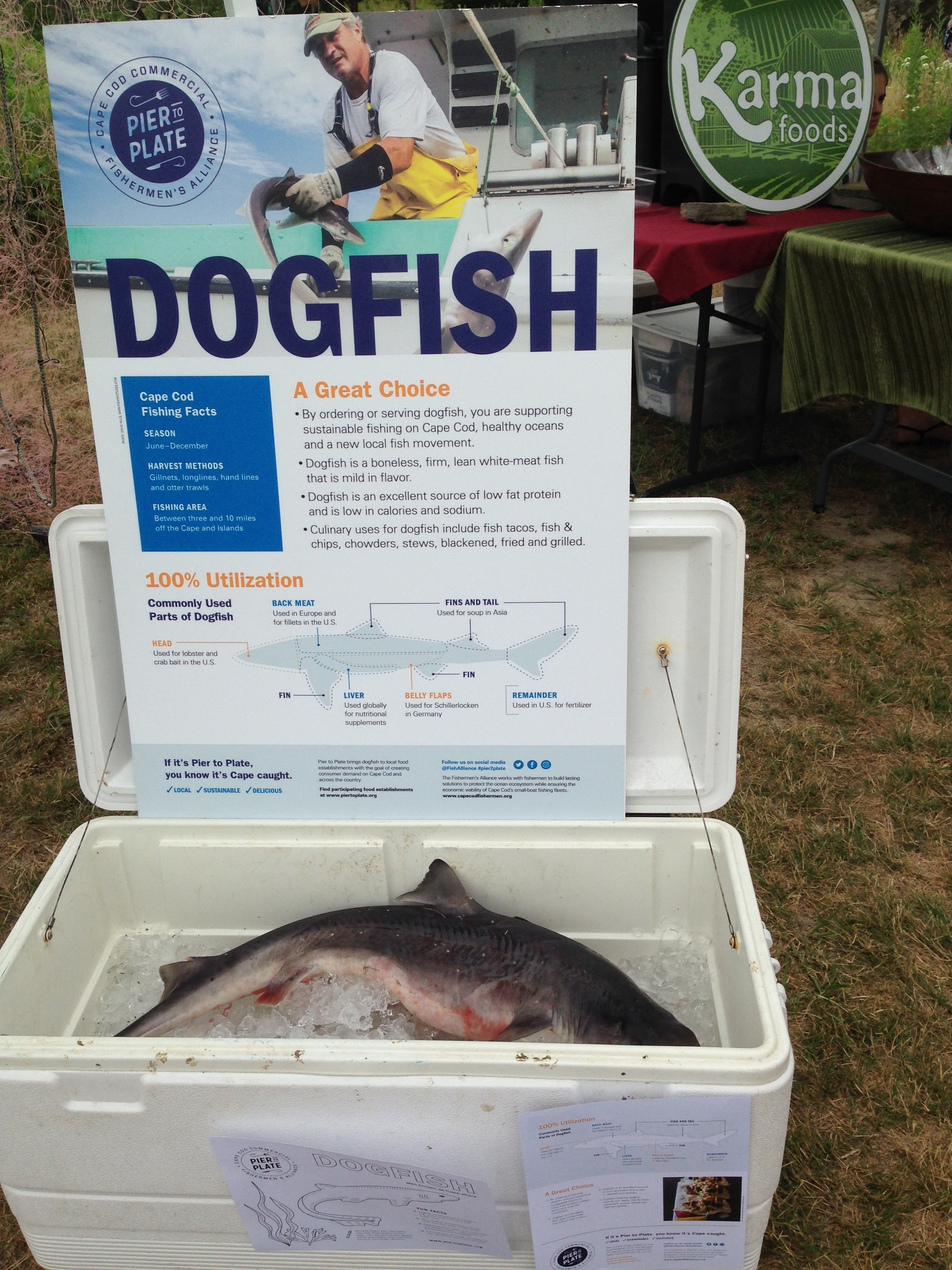 Dogfish display that the Brewster Farmers Market highlighting Pier to Plate