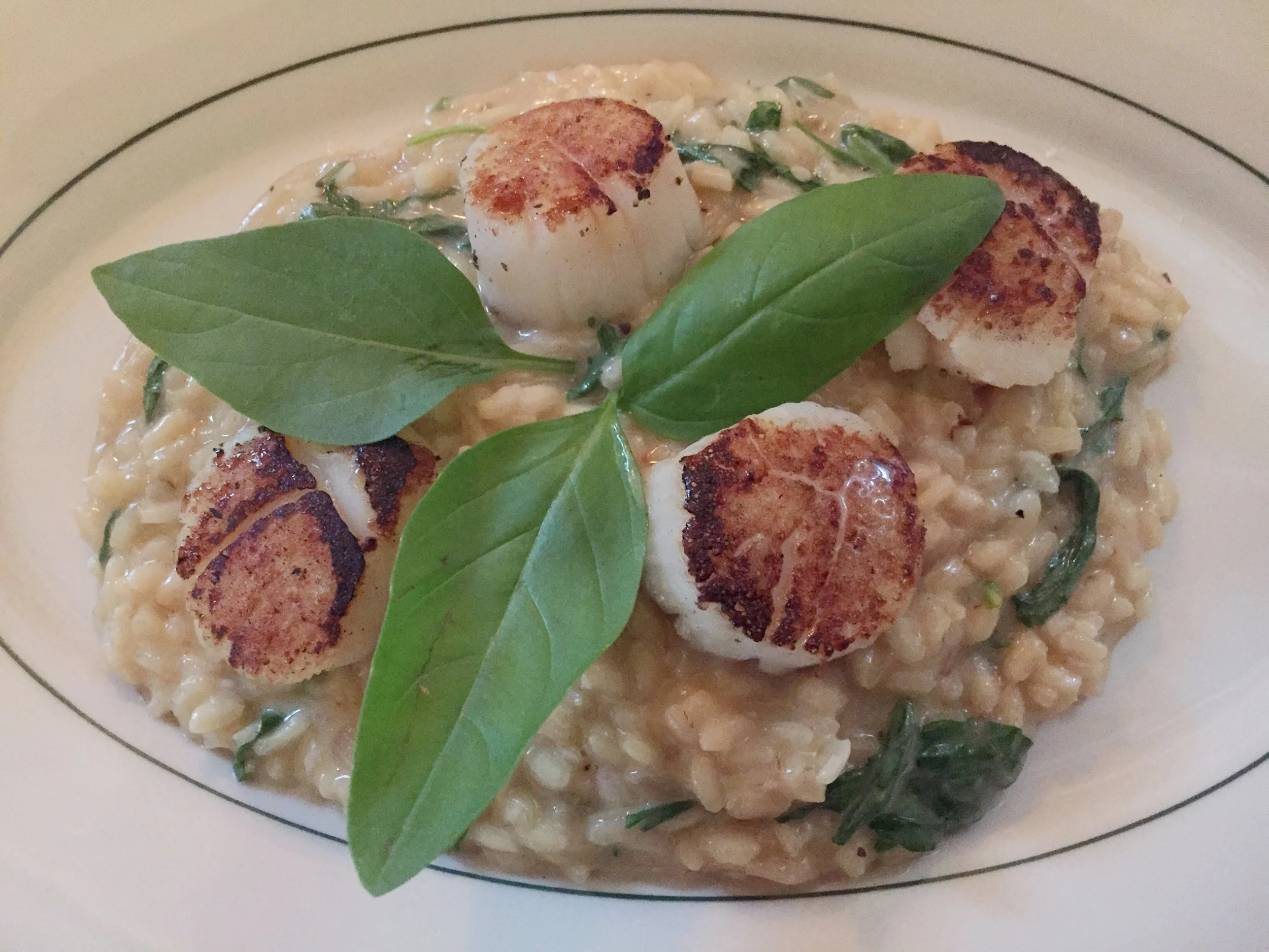 Sea Scallop