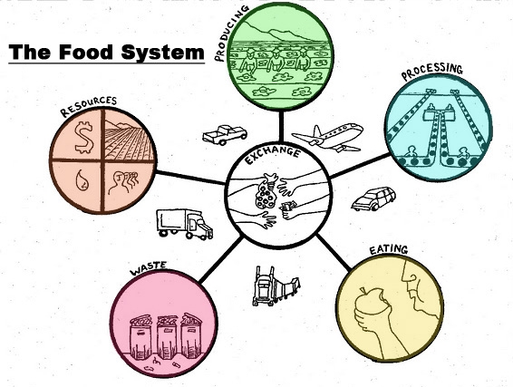 Foodsystem.jpg